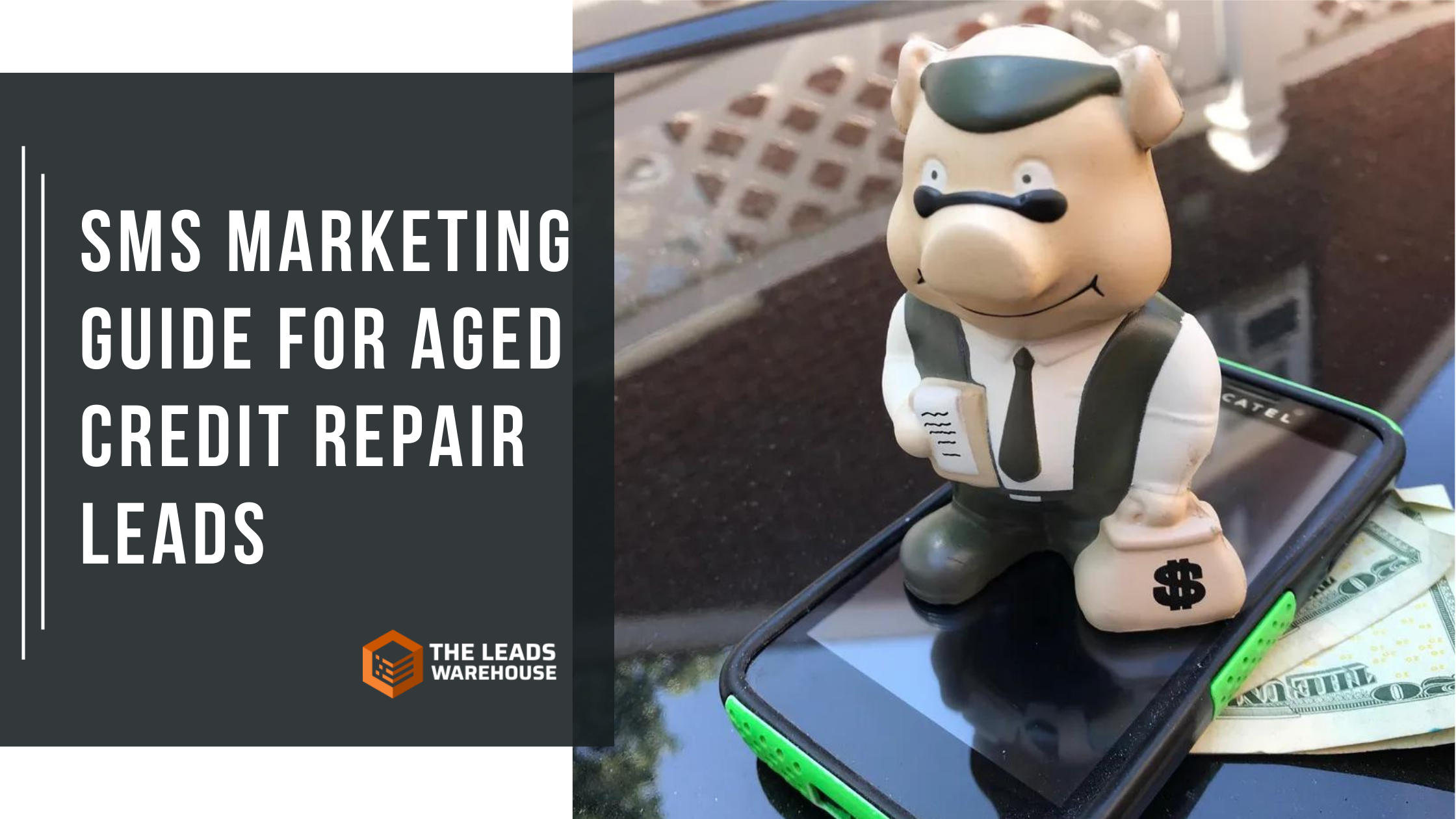 Aged Credit Repair Leads