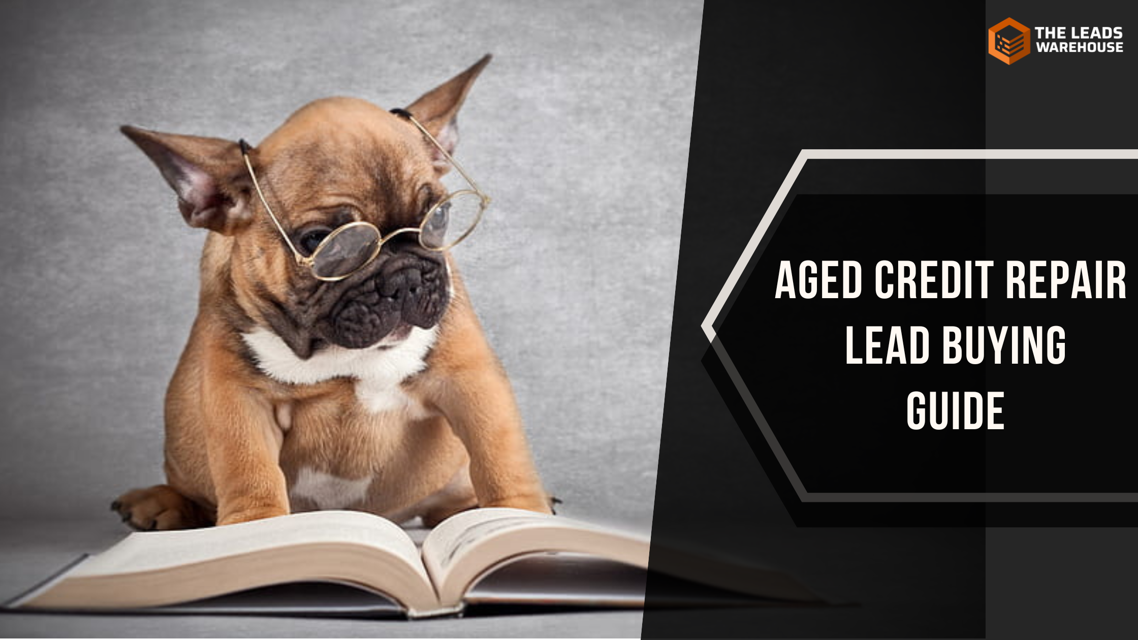 Aged Credit Repair Leads