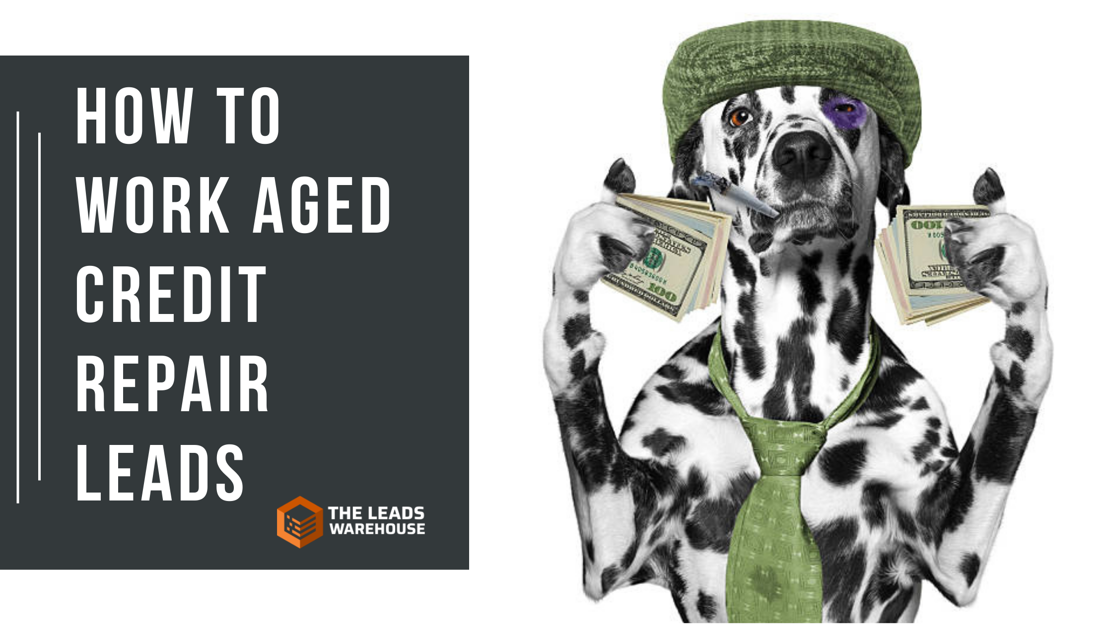 Aged Credit Repair Leads