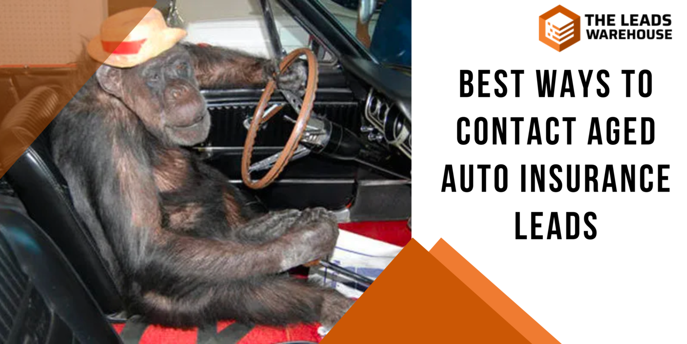 Aged Auto Insurance Leads