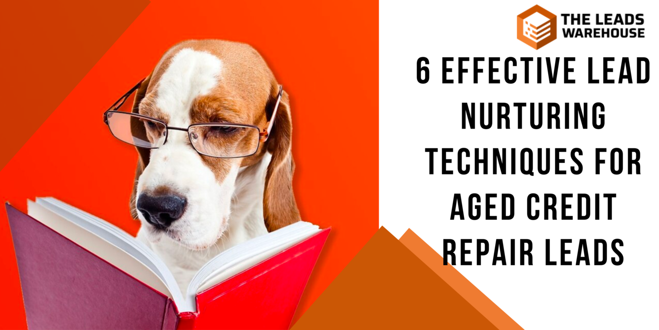 Aged Credit Repair Leads