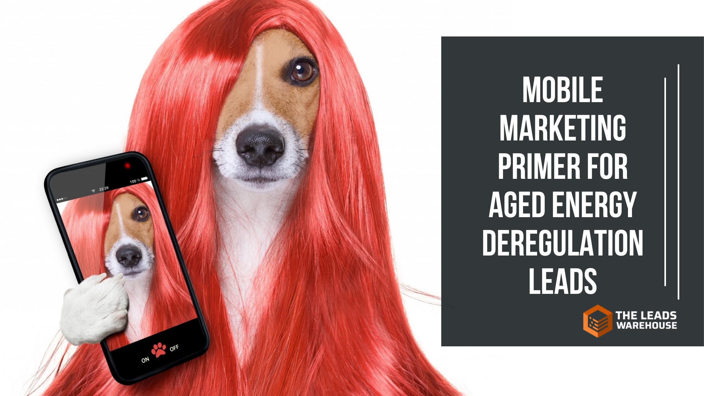 Mobile Marketing for Energy Deregulation